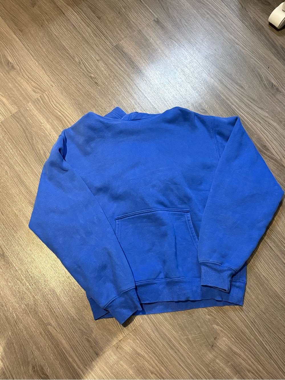 Aritzia Jazz blue Perfect hoodie